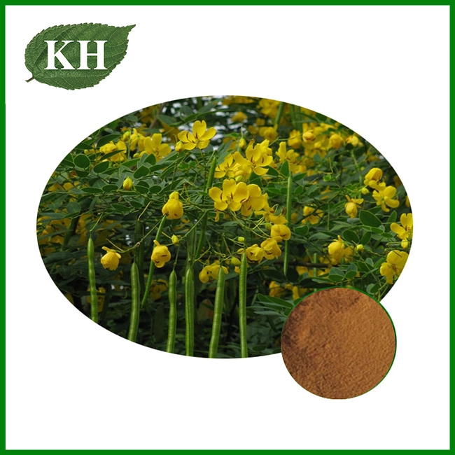 Cassia Seed Extract Cassia Seed Extract